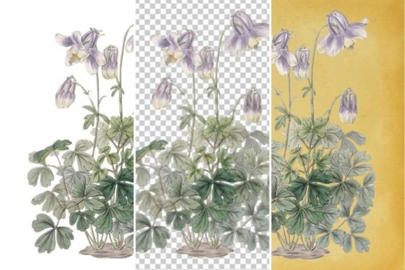 Download Vintage Floral Wall Art Printable - Floral Collection